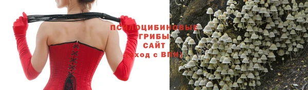 а пвп мука Алексеевка